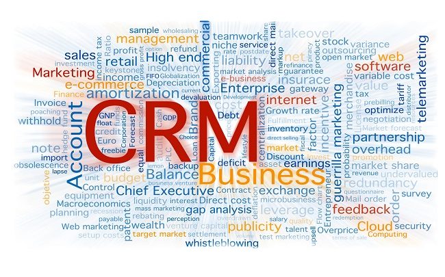 CRM Software Development